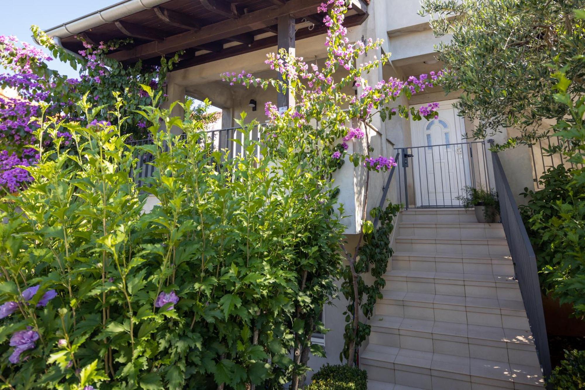 Lumaja Luxury Apartman Biograd Na Moru Exteriör bild